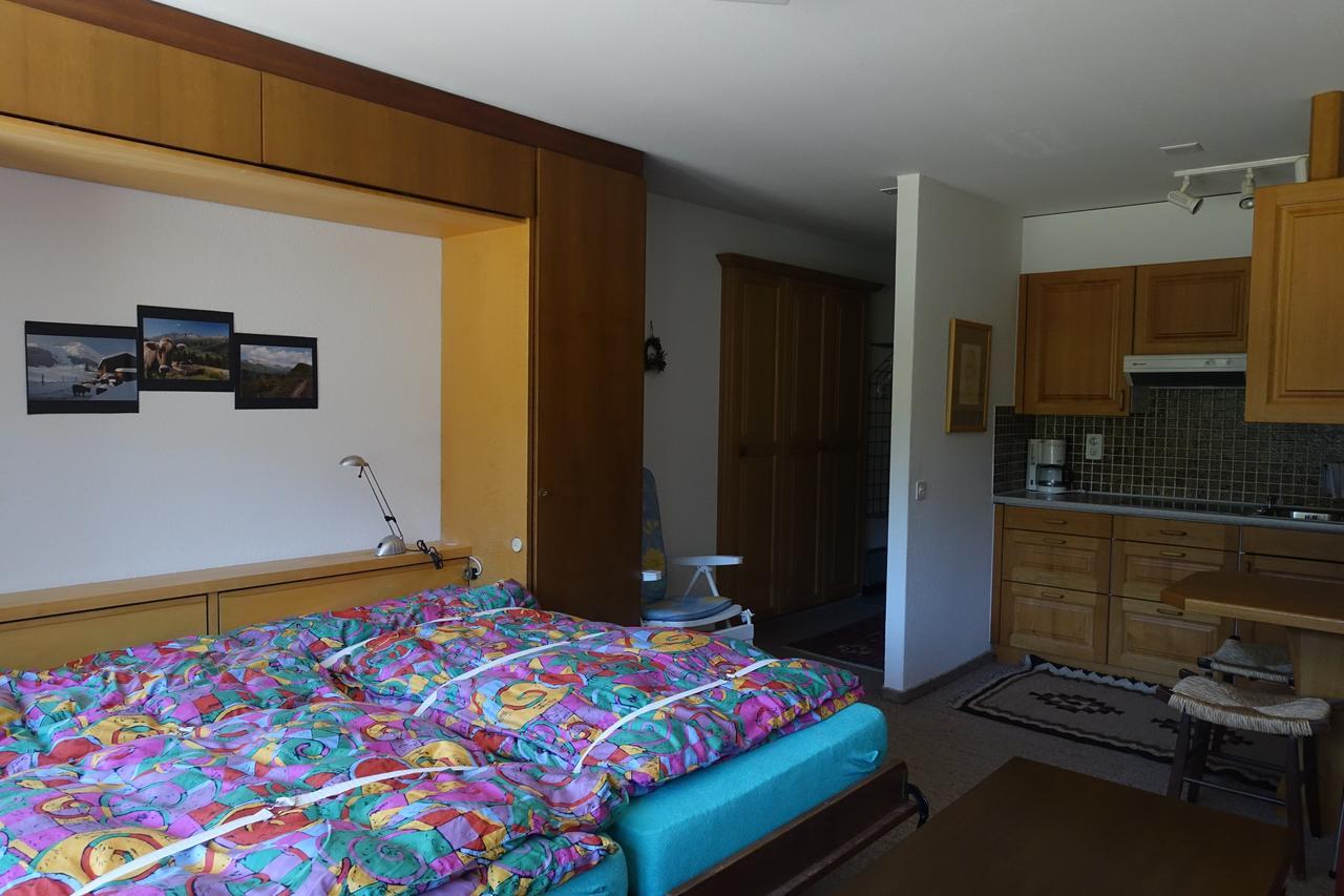 Casa La Foppa 28 Apartment Tujetsch Bagian luar foto